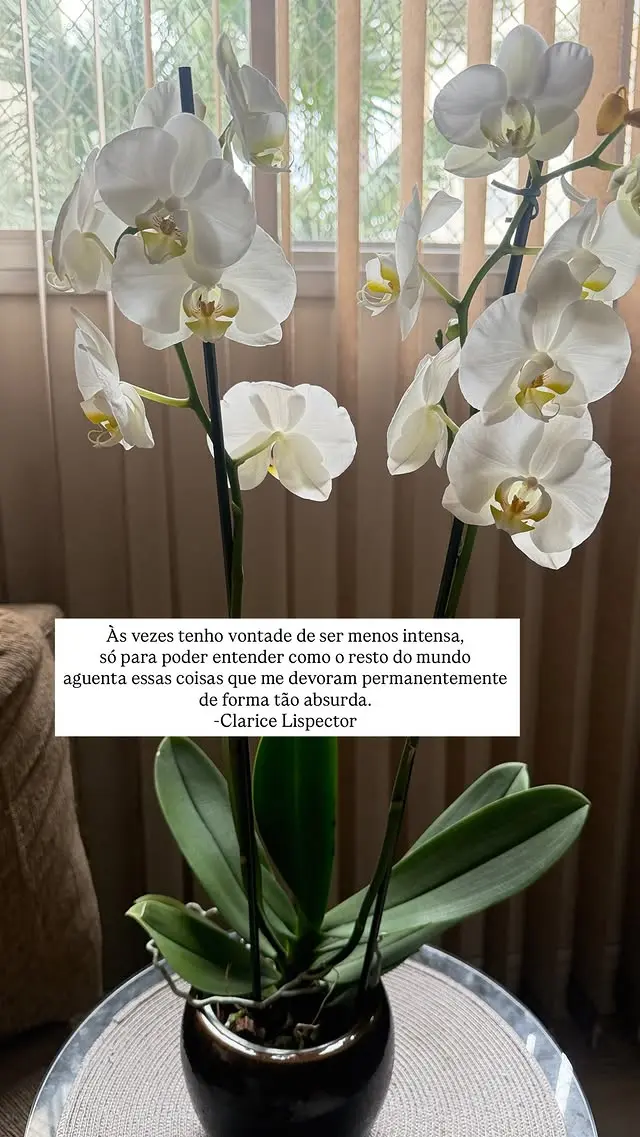 Último 4Point de @___eupoesia