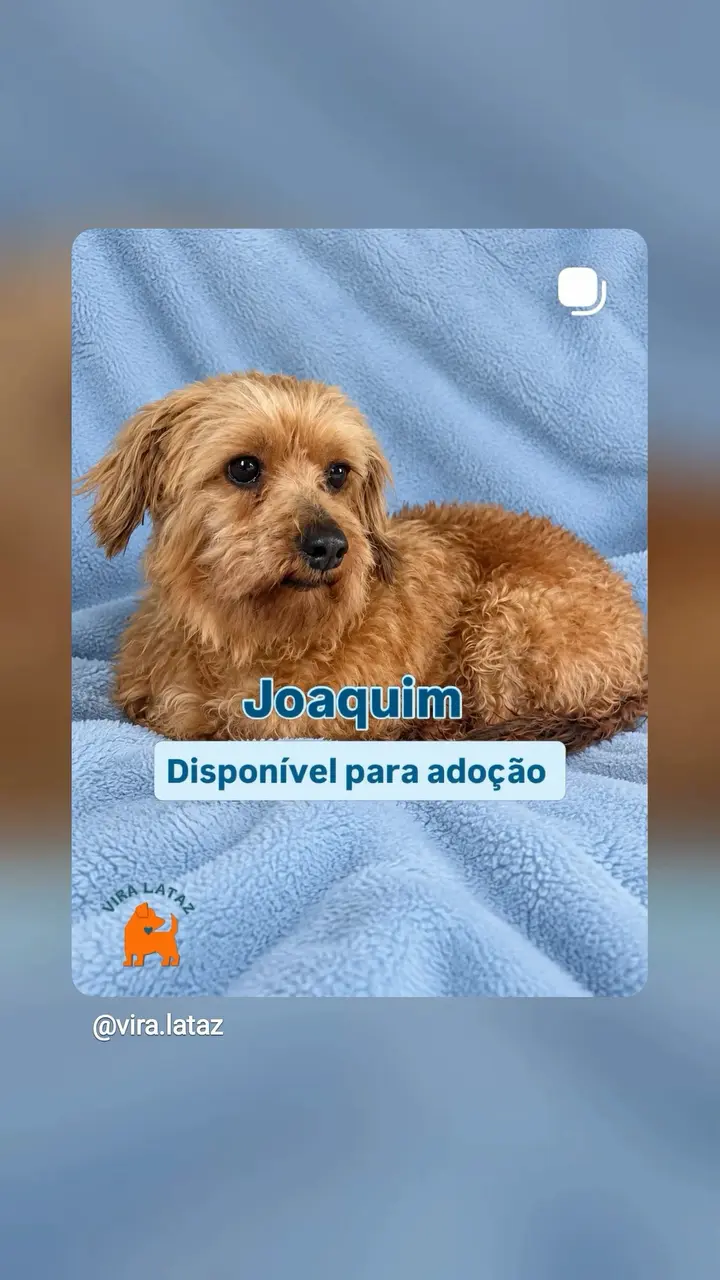 Último 4Point de @suyanngomesss