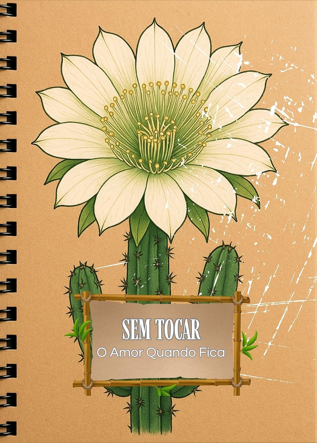 Capa de Sem Tocar