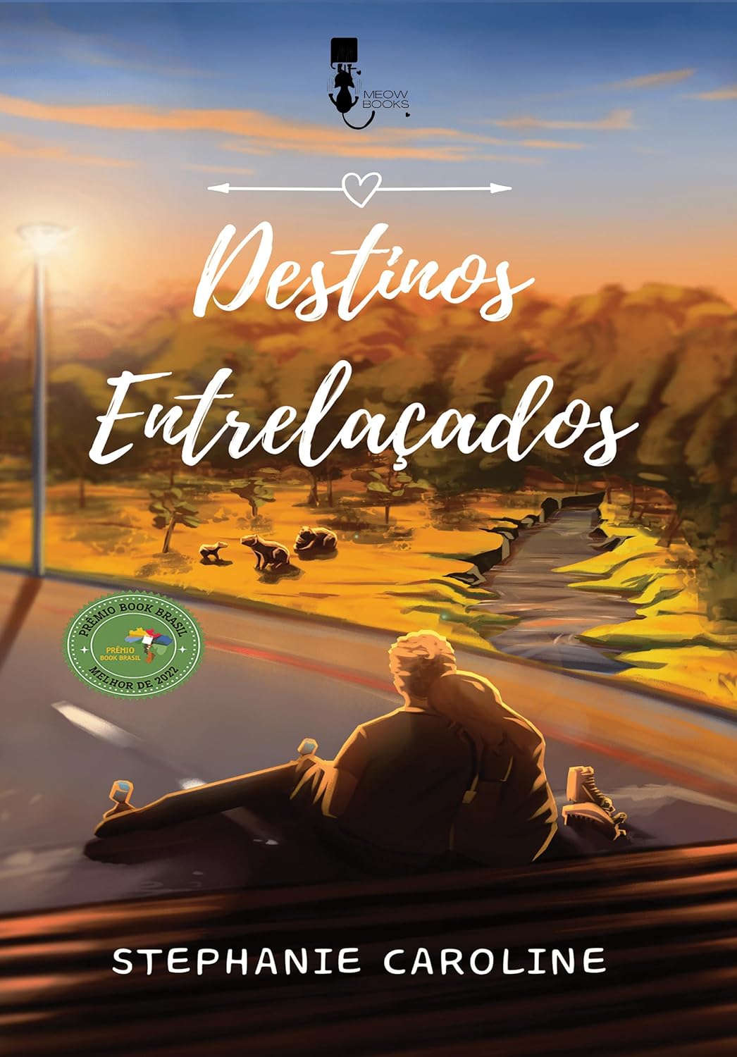 Capa de Destinos Entrelaçados