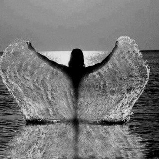 Amor Próprio

Nos contornos,
Que moldam meu corpo
Tuas mãos não me encontram.

Eu mudei!

Neste corpo vive um ser novo.
Meus contornos, 
Hora seus, 
Foram retomados como meus.

Minhas vontades,
Não mais cativas,
Independentes, saíram para a vida.
Não busco você, não busco ninguém…

A busca é por mim!

Amor próprio, a(Mar)…

Mar U