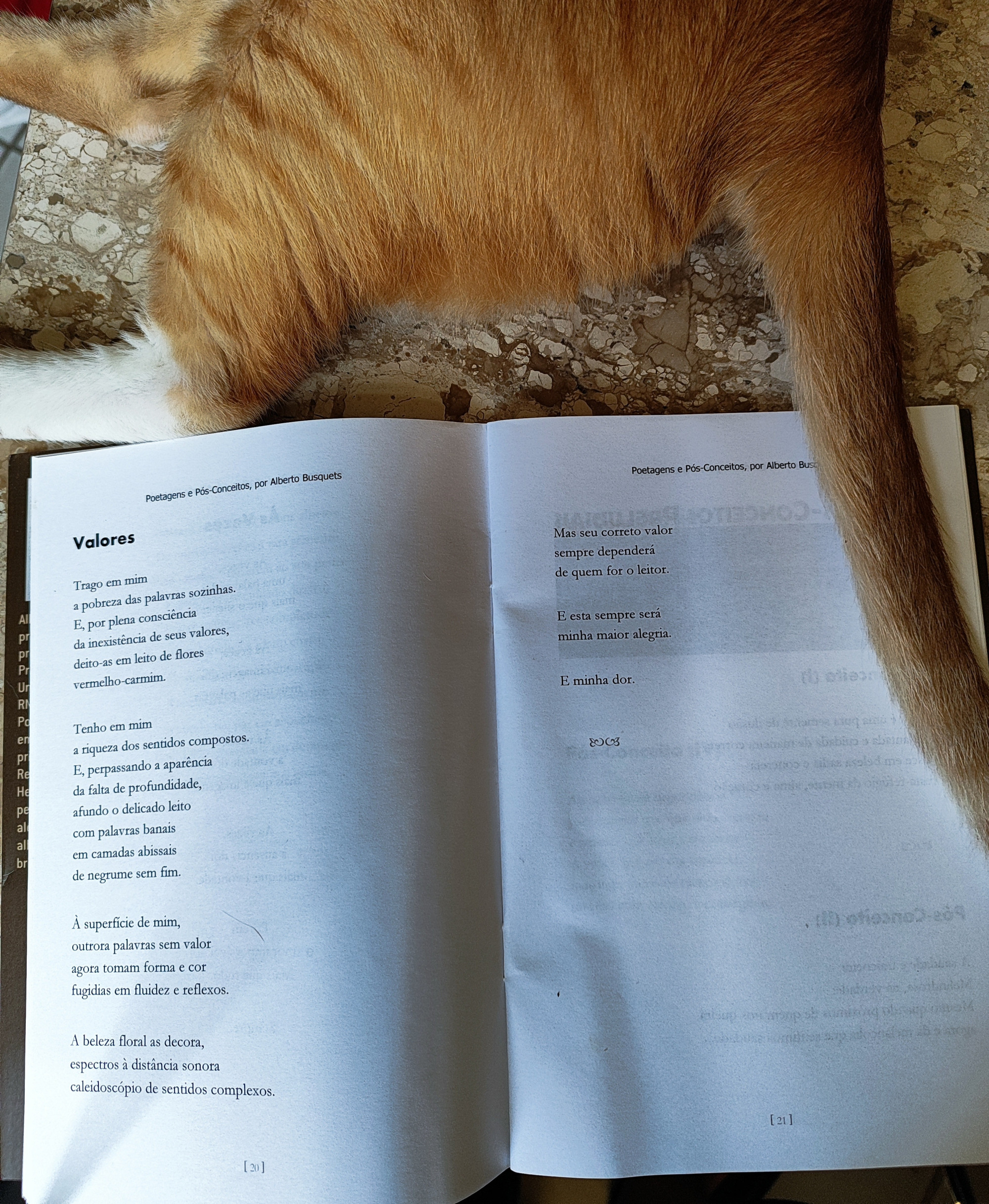 Trago em mim
a pobreza das palavras sozinhas. 
E, por plena consciência 
da inexistência de seus valores, 
deito-as em leito de flores
vermelho-carmim.

Tenho em mim
a riqueza dos sentidos compostos.
E, perpassando a aparência 
da falta de profundidade, 
afundo o delicado leito
com palavras banais
em camadas abissais
de negrume sem fim. 

À superfície de mim, 
outrora palavras sem valor
agora tomam forma e cor
fugidias em fluidez e reflexos. 

A beleza floral as decora, 
espectros à distância sonora
caleidoscópio de sentidos complexos. 

Mas seu correto valor
sempre dependerá 
de quem for o leitor. 

E esta sempre será
minha maior alegria. 

E minha dor. 

Alberto Busquets.

#Desafio 027