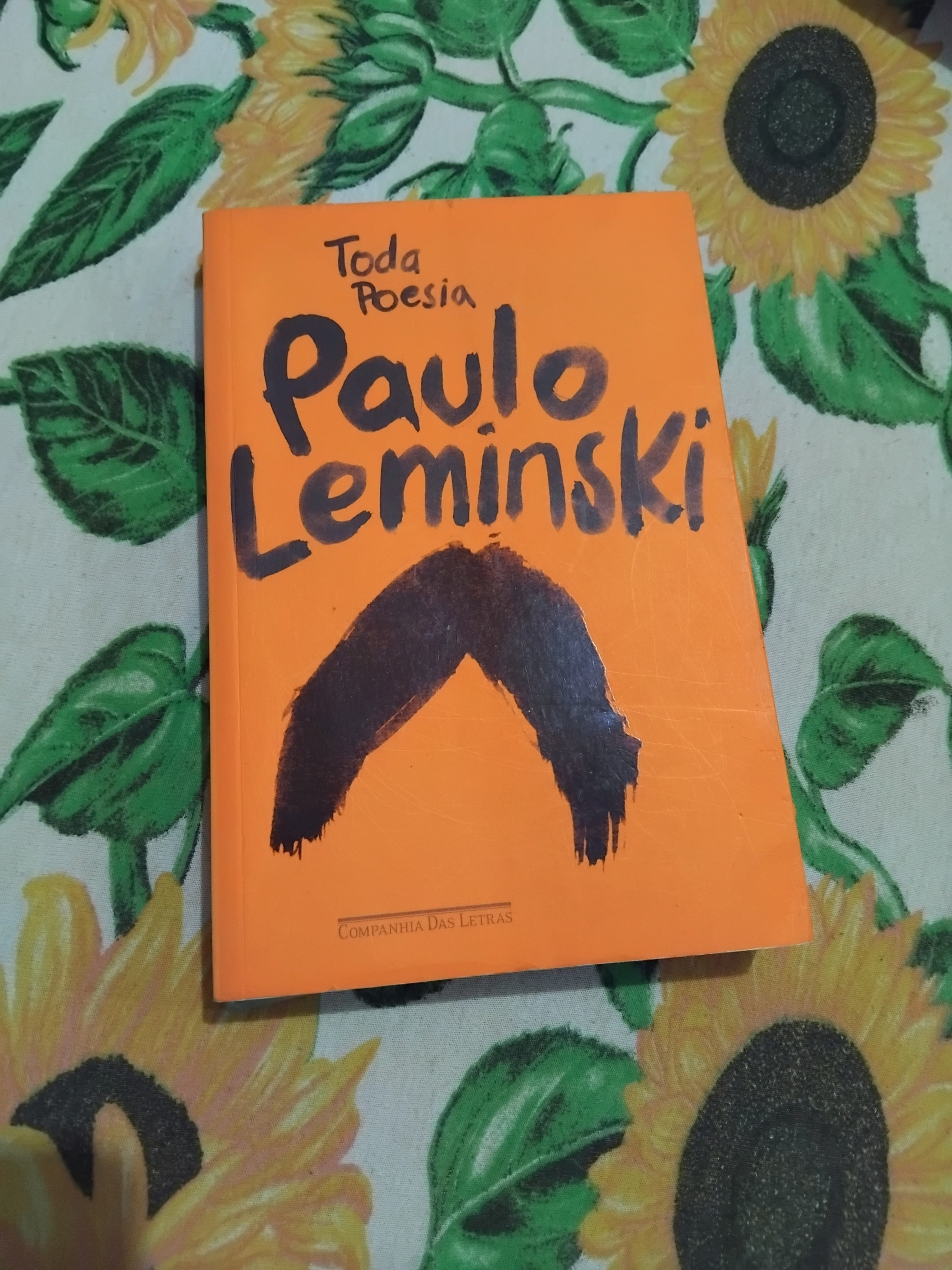 Tirando o atraso 😅

O tema do Livro que apoia o #desafio de hoje é:
45- Fale sobre um livro para ler em viagens.

Uma coisa interessante é que costumo levar poesia comigo quando viajo. Também não viajo muito, é um veraneio aqui, um acampamento ali. Um dos meus companheiros de rede no camping foi Leminski. Amo! Acho simples e acho genial. Esse poema acho que foi o primeiro dele com o qual tive contato, ainda no tempo de escola, em um livro didático. O cara era muito bom.

#Link365TemasLivros