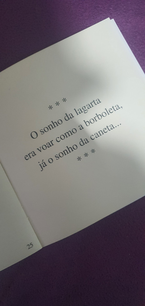 LIVRO:
...PEQUENOS BENS PEQUENOS...
JJr.