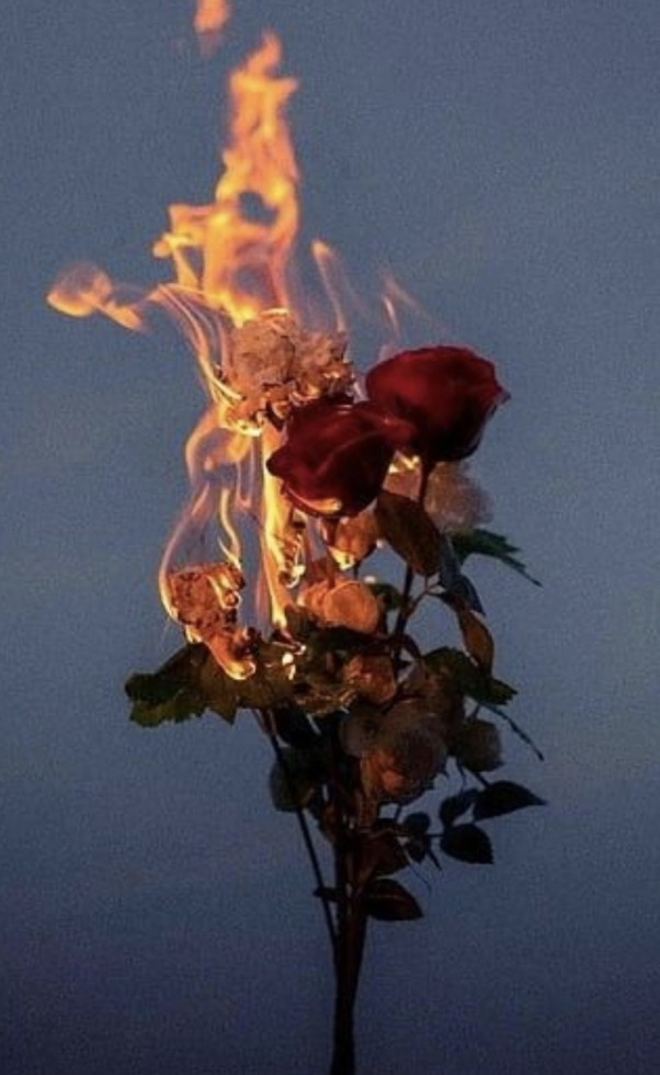 My flower of the Sun
I like your country face
Eyes like daisies
Shining
Lips made perfect love
Painted
I make a castle out of clouds in my mind
Bed of the gods
Blood wine
That runs made love and passion
Distance is nothing close to dreams
I grace you with words
Love is Amor
In other words.

~♡~

Minha flor do Sol
Eu gosto de tua face de campo
Olhos feito margaridas
Brilhando
Lábios feito amor perfeito
Pintada
Faço castelo de nuvens
em minha mente
Cama dos deuses
Vinho do sangue
Que corre
feito amor e paixão
A distância não é nada
perto dos sonhos
Agracio-te com palavras
Love is amor
Em outras palavras.

~♡~
JJr.