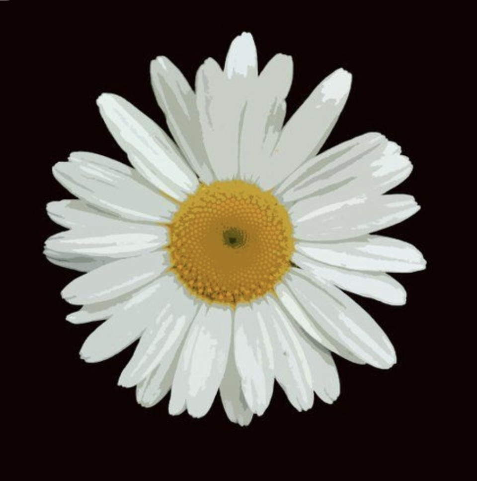 ~♡~

My little flower
Eyes and petals
daisy
With your skin
Peach
Rejoice my
Your
Thoughts
The glow of the face
At sunrise
Darkens the sky 
The firmament
Your color is rosy
Love fluff
You wearing a dress
Free on the breeze
Free locks
Do it without braids
The ties of the heart.

~♡~

Minha florzinha
Olhos e petalas
de margarida
Com tua pele
Pêssego
Alegra meus
Teus
Pensamentos
O brilho da face
Ao raiar do sol
Ofusca o céu 
O firmamento
Róseo tua cor
Penugem de amor
Tua veste vestido
Livre sobre a brisa
Livres madeixas
Faz-sem tranças
Os laços do coração. 

~♡~

JJr.