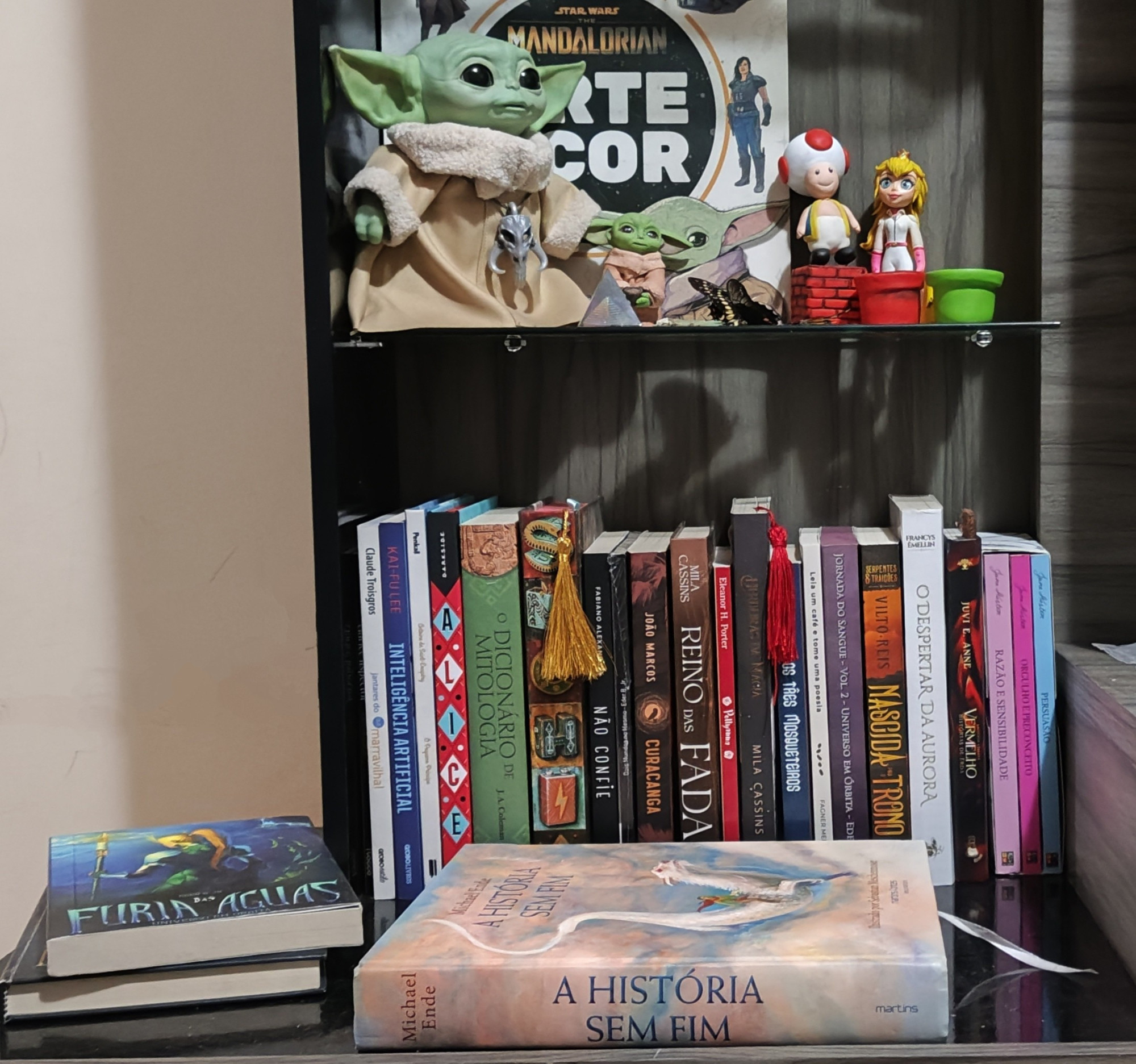 Esse cantinho, que tem alguns dos principais livros que adquirimos ano passado, vários nacionais, quero transformar em 2025, no espaço dos publicados pelo Literunico. Quatro deles já estão nas Campanhas.