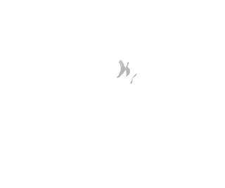 Logo Skull Editora