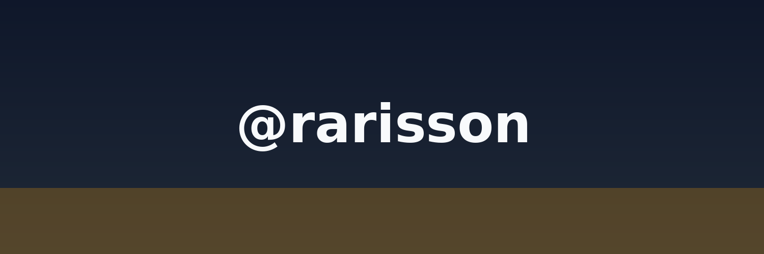 Portfolio de Rarisson Guimarães