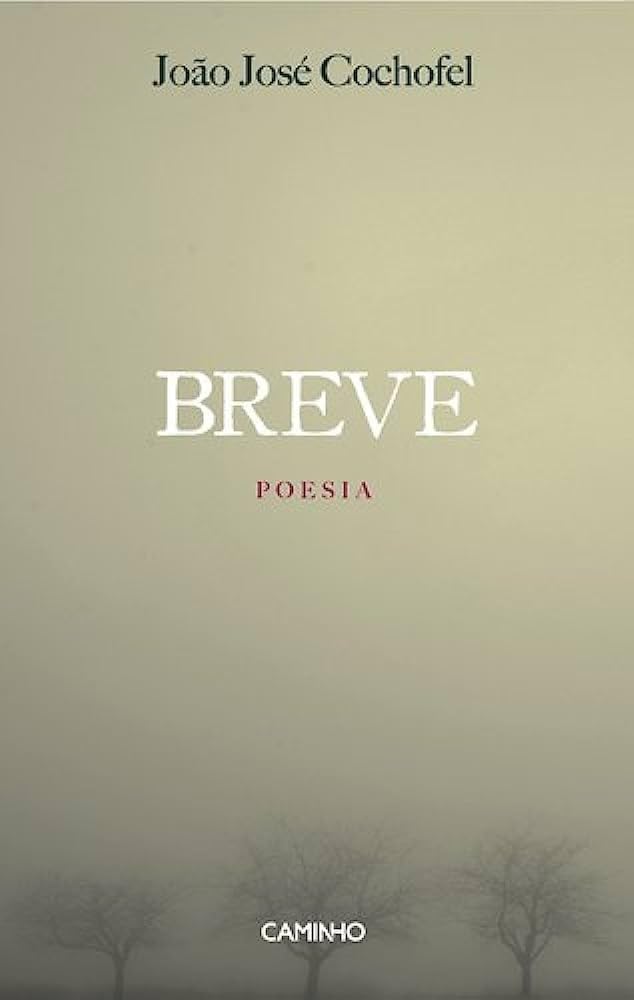Breve Poesia Completa