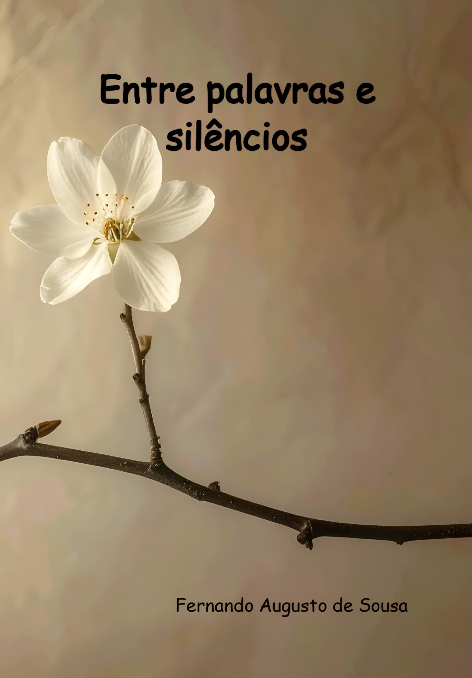 Entre palavras e silêncios