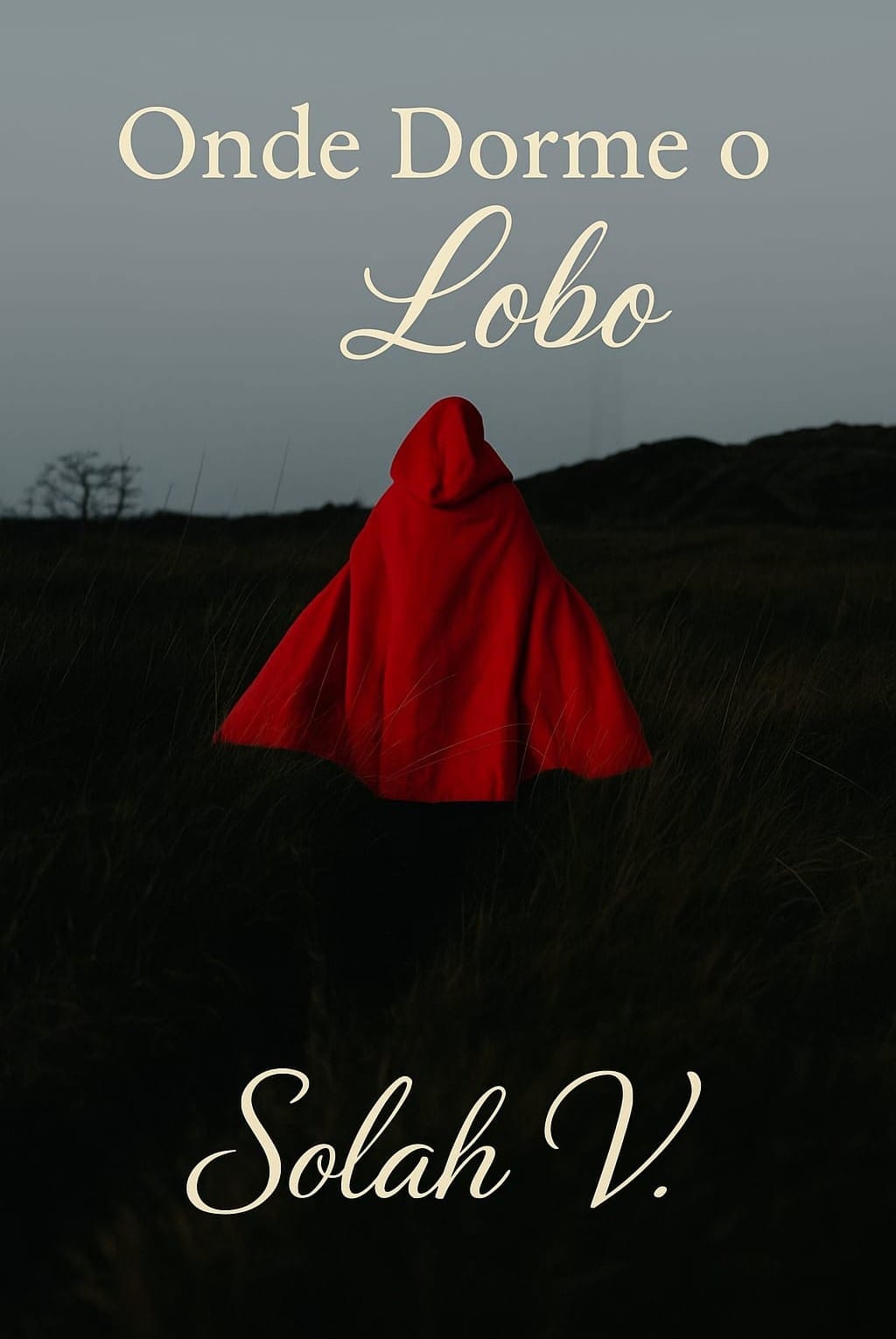 Onde Dorme O Lobo (Ebook)