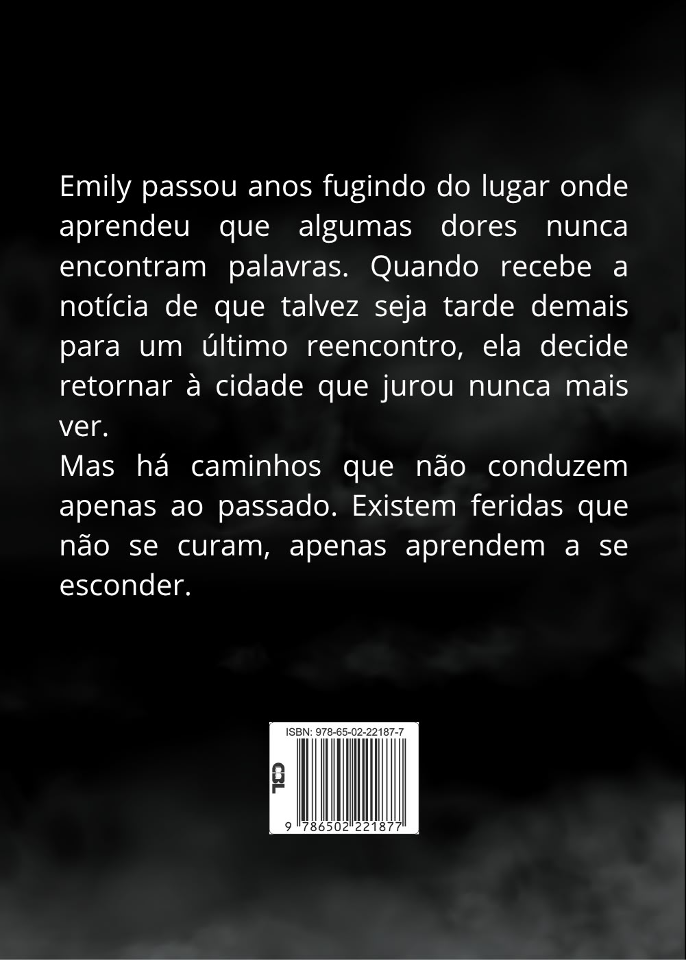 Contracapa de Fissura