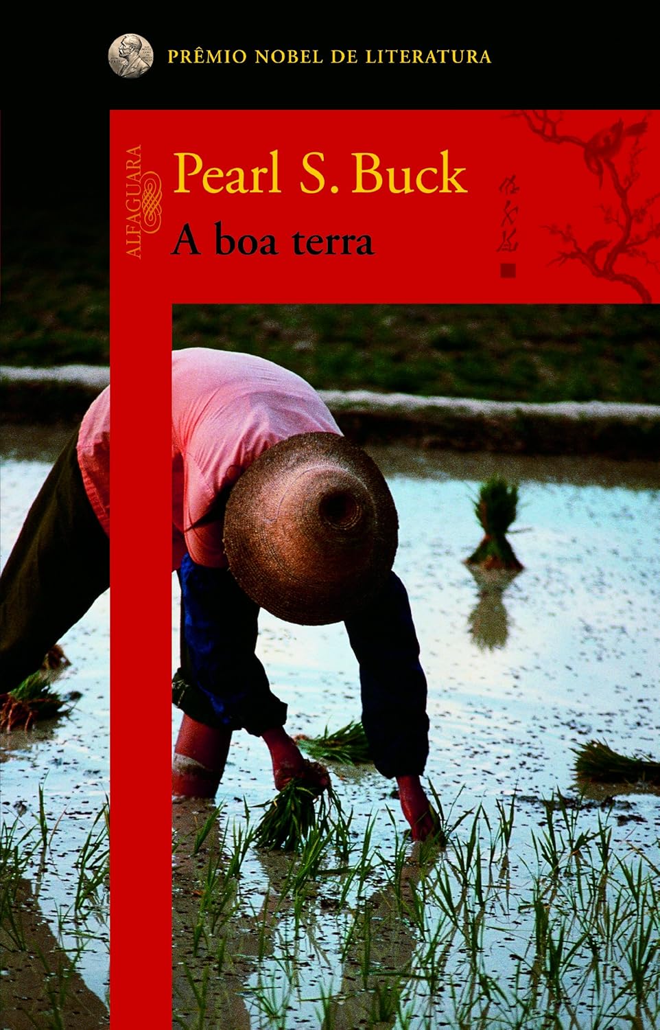 A boa terra