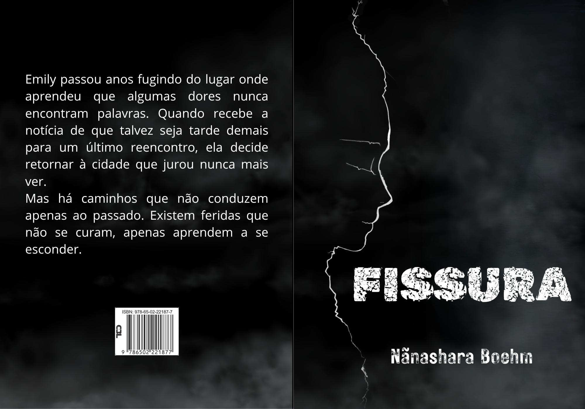 Arte aberta de Fissura
