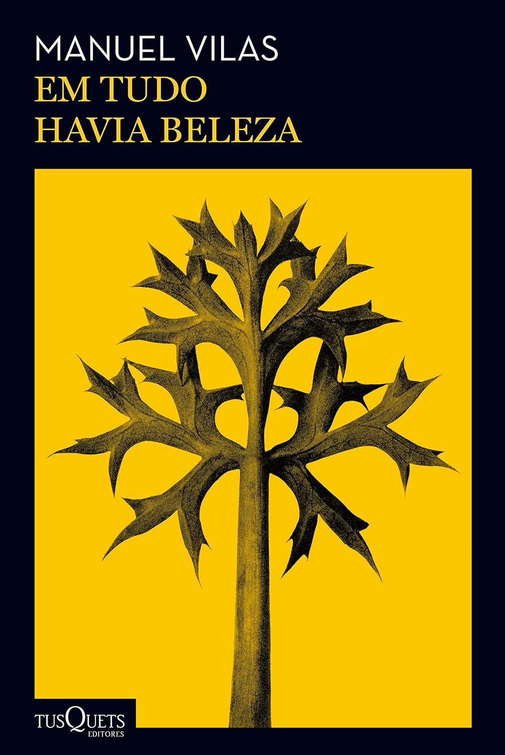 Avatar da comunidade Em tudo havia beleza