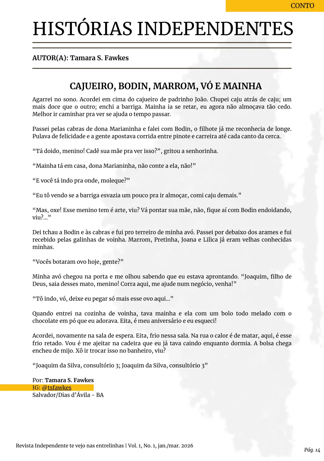 Página 15 na diagramação original