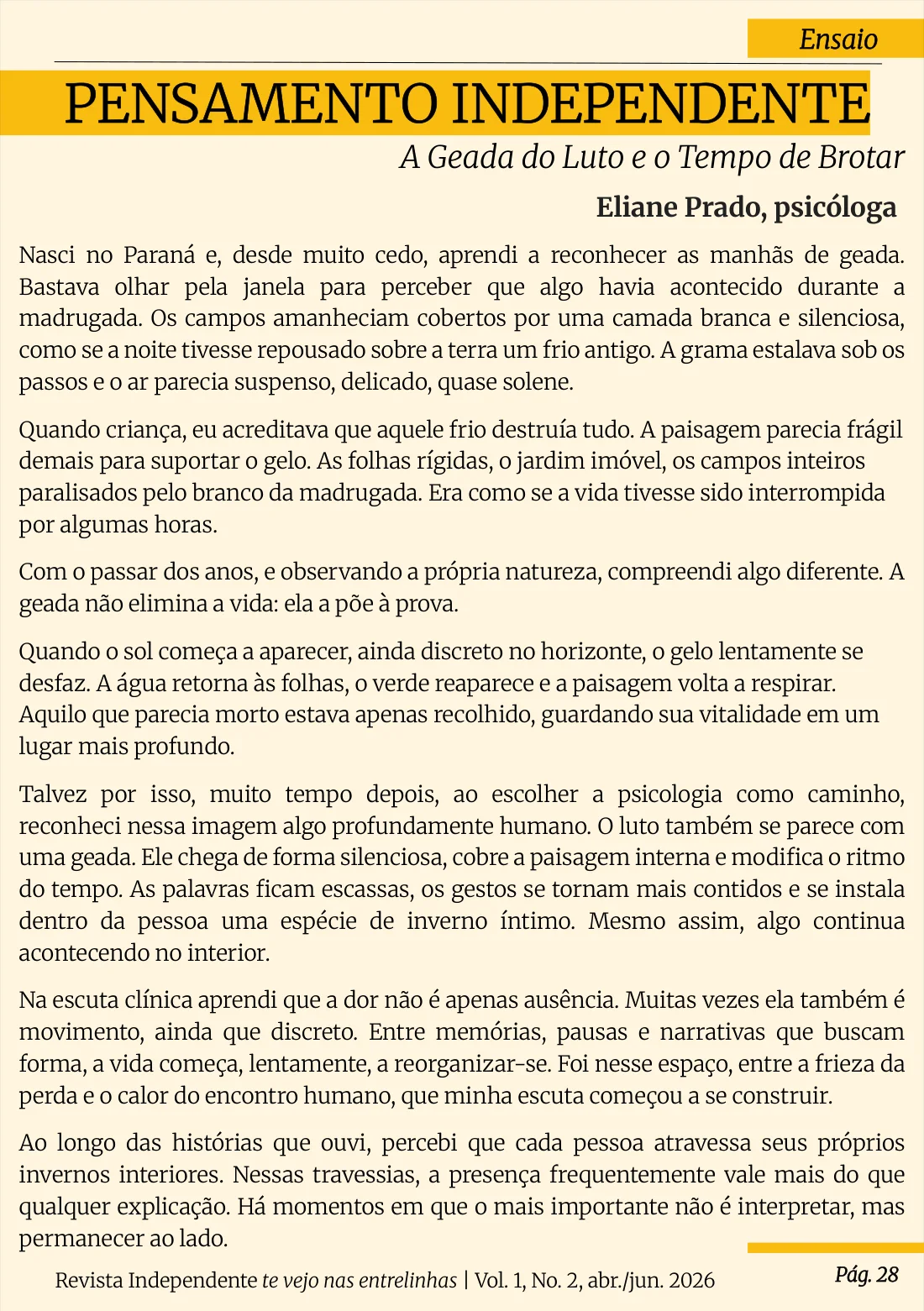 Página 28 na diagramação original