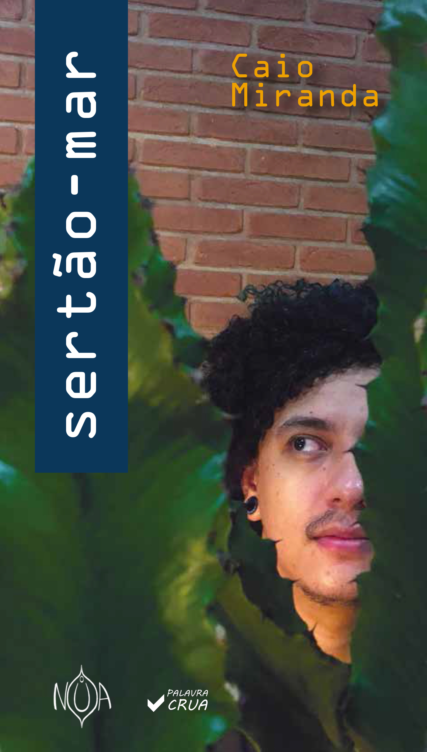 Capa de Sertão-Mar