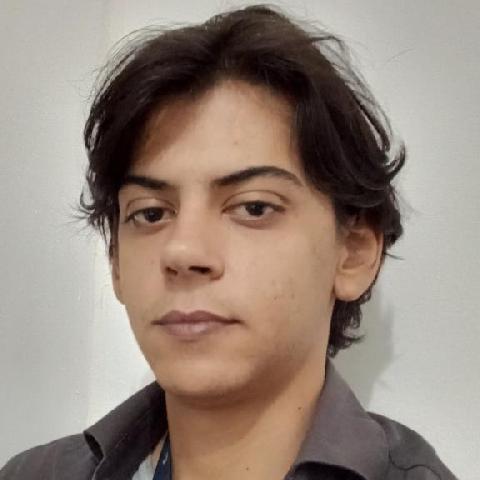 Luan Reis