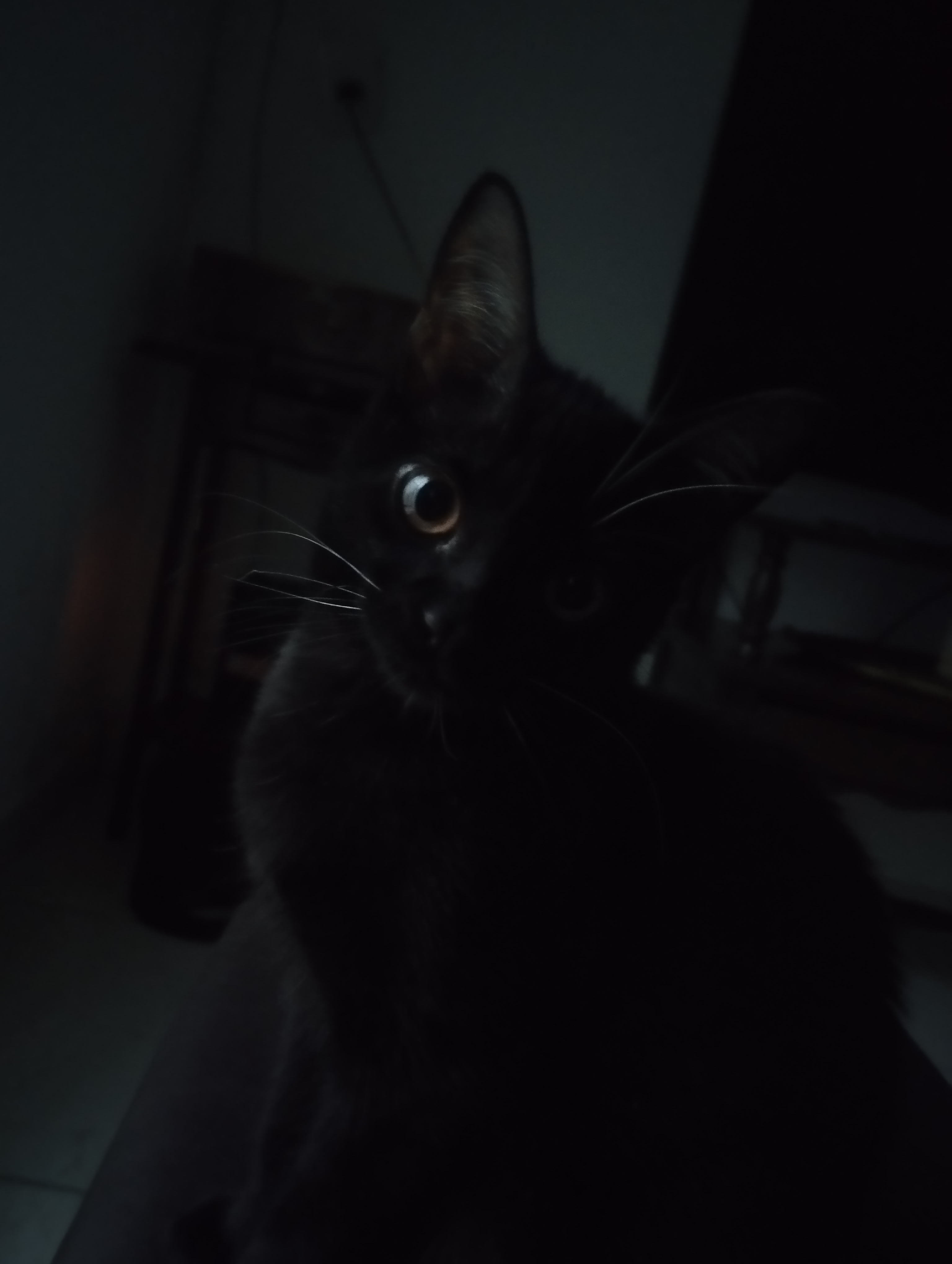 A madrugada que se foi