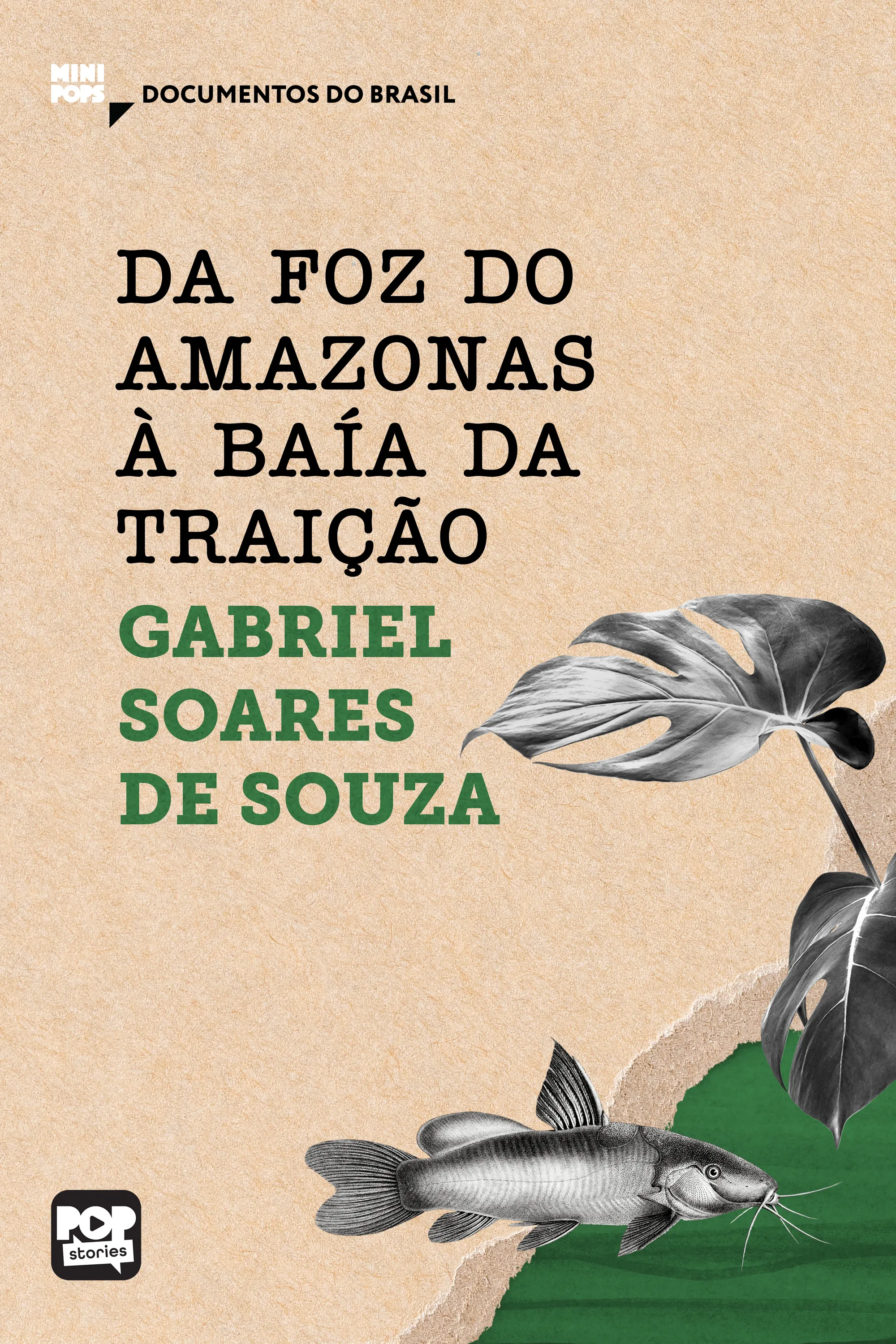 Da foz do Amazonas à Baía da traição: Textos selecionados do livro Tratado descritivo do Brasil