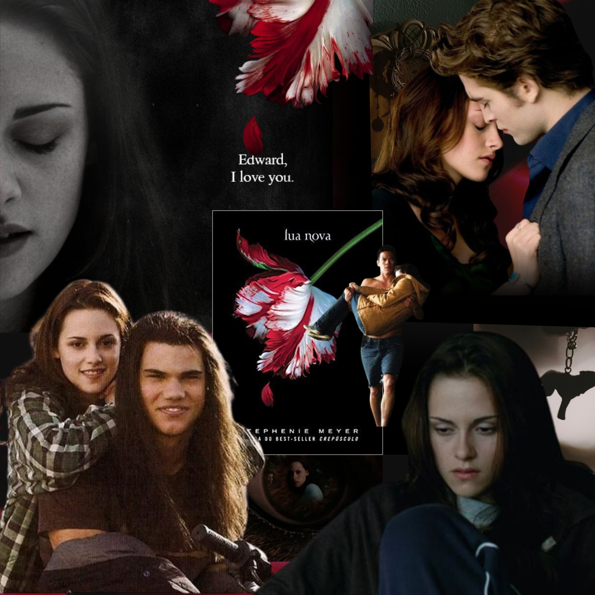 #Link365TemasLivros : Você já leu algum livro mais de uma vez que te fez ter uma visão diferente da história ou do conceito? Como foi?

A saga Crepúsculo vai aparecer por aqui em várias respostas? Pelo visto, sim, ela fez parte de uma era para mim. Não por causa dos filmes em si, os filmes assisti mais de uma vez é claro. Entretanto, os livros, quantas vezes eu li antes de ler Amanhecer? Isso que não li ainda o “Sol da meia-noite”, estou aceitando o livro de presente se quer saber.

A resposta para esta pergunta poderia ser fácil, mas a saga não é apenas um livro e quando li a primeira vez Lua Nova eu fiquei tão imersa na história que não conseguia ver o quão profundo era, apenas me identificava com uma adolescente que perdeu o grande amor dela. E quando reli fiquei julgando ela varias e várias vezes por ser tão fraca, tosca e depressiva, sem entender absolutamente nada do porquê tinha aquelas páginas em branco. Que sentindo tinha?

E quando reli em 2020, finalmente com o meu box completo na mão e uma pandemia batendo na porta, quer dizer… fechando as portas. Finalmente reli e consegui ver quão profundo é a personagem Bella Swan, e as paginas em branco passou a ter significado, e não chorei porque ela perdeu o grande amor dela, por ele ter deixado, mas o sentimento que você passa a entender.

Na época que lançou fiquei encanada com o Jacob e não conseguia entender porque ela não dava chance para ele, e com a última leitura, depois de vários anos depois do lançamento e uma bagagem enorme, passei a ter outra visão daquele personagem… E o resto você já sabe.

E vou te contar, o filme não ajudou muito, a Bella dos livros é bem mais profunda e só para quem leu consegue entender do que estou falando.