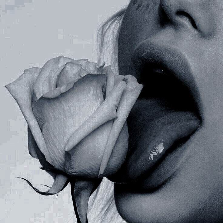 A dureza com que me olhas,
como quem desvenda todo meu íntimo;
Faz com que eu estremeça
por todas as extremidades.
Faz com que o meu corpo ínfimo 
vibre, implore e enlouqueça,
Faz com que minha boca peque
proferindo obscenidades.

#desafio 365/162