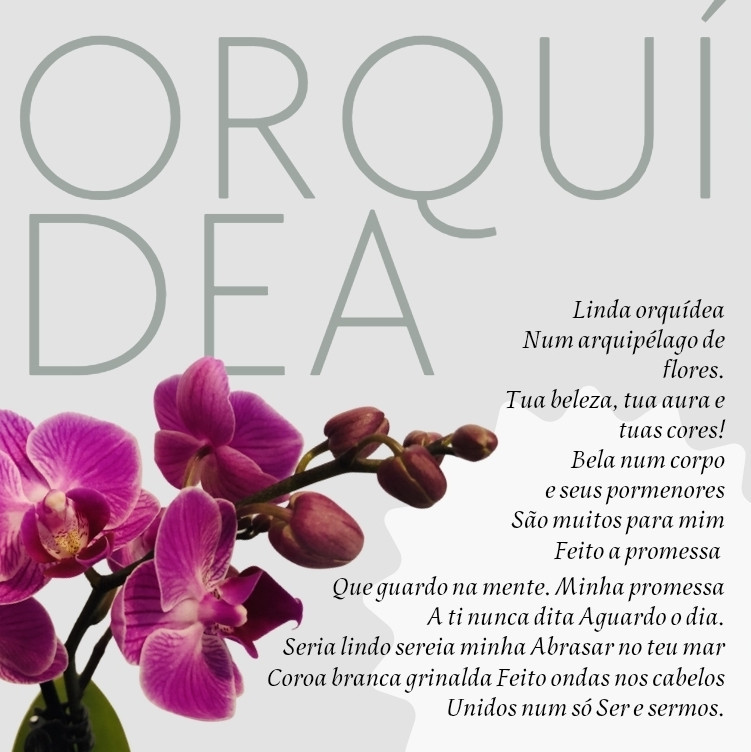 Linda orquídea
Num arquipélago de flores.
Tua beleza, tua aura e tuas cores!
Bela num corpo
e seus pormenores
São muitos para mim
Feito a promessa 
Que guardo na mente.
Minha promessa
A ti nunca dita
Aguardo o dia.
Seria lindo sereia minha
Abrasar no teu mar
Coroa branca grinalda
Feito ondas nos cabelos
Unidos num só
Ser e sermos.

~*~
JJr. 

#amor #love