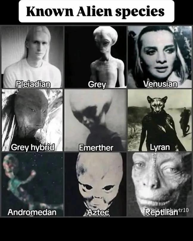 Qual vocês se sentem hoje?

Fonte: https://ayom.media/@Coisaestranha/116369128801565314
#fediverse #livro #literatura