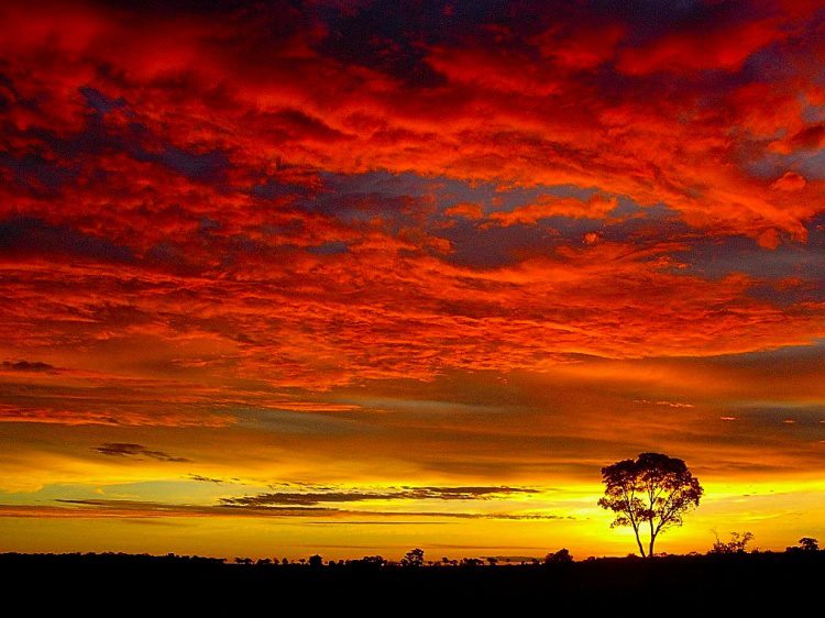 Não precisamos de paredes 
A nossa volta, nem de cama
Nós que fazemos nosso tempo,
Temperatura e o tempero

Os nossos corpos viram redes
Conectando nossa chama
Pro nosso amor se faz enredo,
Na escultura de um segredo

E o que domina nos invade
Faz coração acelerar
Na sensação de uma viagem

O curto tempo do amar
Se prende em mim a tua imagem
O gosto eterno do sonhar

@[100063464780171:2048:Eder Beraldo Junior]

Referências originais:
Facebook: https://www.facebook.com/photo.php?fbid=412714975485018
Export: facebook-algumaspoesias-19_5_2026-8zX610Ht.zip
Data original: 2013-02-27 23:38:42