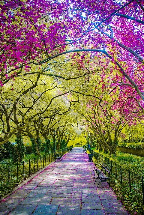 Amor sempre atento

Estarei atento agora e a todo instante
Instante  breve, primeiro ou derradeiro
Seja infinito, surpreendente ou inconstante
Estarei atento sempre, o tempo inteiro

Pois no espaço simples do momento
É que o amor se mostra inebriante
O sentimento invade o pensamento
Cada detalhe se torna importante

Pois dessa vida só se leva o verdadeiro
O que te marca feito metal cortante
Tatua a alma, faz do corpo hospedeiro

Da paixão que vai além do excitante
Sem precisar de rumo ou paradeiro
Te faz seguir feliz, sempre a diante

@[100063464780171:2048:Eder Beraldo Junior]

Referências originais:
Facebook: https://www.facebook.com/photo.php?fbid=417386778351171
Export: facebook-algumaspoesias-19_5_2026-8zX610Ht.zip
Data original: 2013-03-11 00:50:39