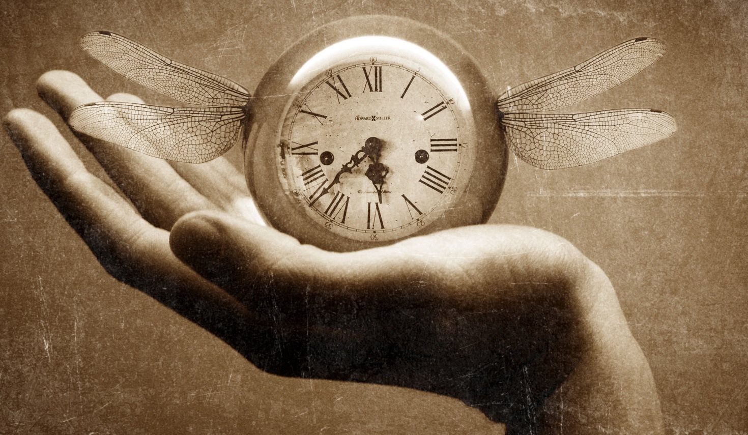 Começou (It's Time)

Então tem que ser assim
O princípio e o seu fim
Agora é a hora de subir do fundo do poço
Até o topo
Seguir em frente
Tenho que ir sem olhar para o passado mais.

Não quero te deixar aqui
Não quero te deixar partir
Depois de tudo
A noite não vai acabar assim

Então começou e eu vou!
Sei que não vai ser fácil, e daí? Desistir?
A hora é agora!
Para a vitória:
Nada nunca deve mudar quem sou

Então foi que eu cai
Eu quase me perdi
Subir de novo, do inferno ao paraíso
Até o topo
Deixar pra trás
Tenho que ir sem olhar para o passado mais.

Mais não quero te deixar aqui
Nem vou te deixar partir
Depois de tudo
A noite não vai acabar assim

Então começou e eu vou!
Sei que não vai ser fácil, e daí? Desistir?
Fincar minha raiz, sem fingir
Pois para se vencer
Nada nunca deve mudar quem sou

Você nunca ficará sozinho
Pra seguir o seu caminho
Até o fim
Até o fim

Então começou e eu vou!
Sei que não vai ser fácil, e daí? Desistir?
A hora é agora!
Para a vitória:
Nada nunca pode mudar quem sou

@[100063464780171:2048:Eder B. Jr.]

Referências originais:
Facebook: https://www.facebook.com/photo.php?fbid=821332057956639
Export: facebook-algumaspoesias-19_5_2026-8zX610Ht.zip
Data original: 2015-06-03 01:56:39